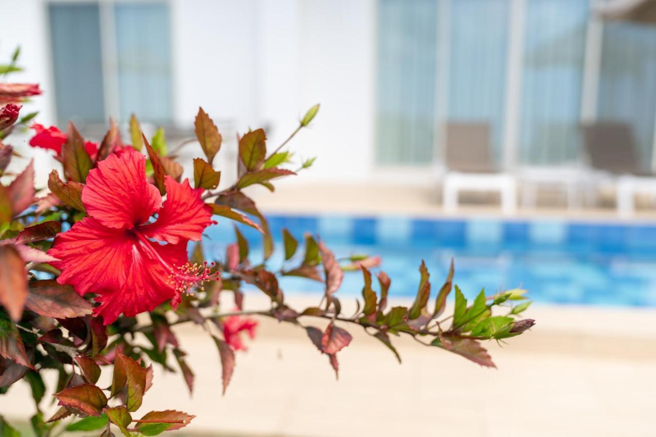 Crystal Villa Miyakojima Sunayama Beach מראה חיצוני תמונה